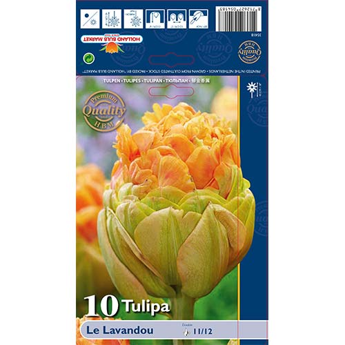 Tulipan pełny Le Lavendou interface.image 1 interface.art 68036