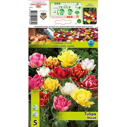 Tulipan pełny, mix kolorów interface.image 1 interface.art 67731