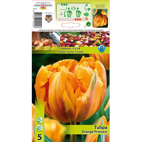 Tulipan pełny Orange Princess interface.image 1 interface.art 67781