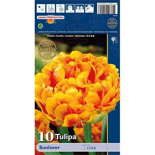 Tulipan pełny Sunlover interface.image 1 interface.art 68042