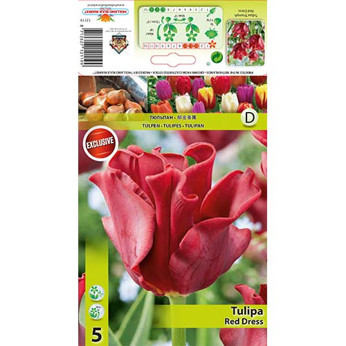 Tulipan Triumph Red Dress interface.image 1 interface.art 67821