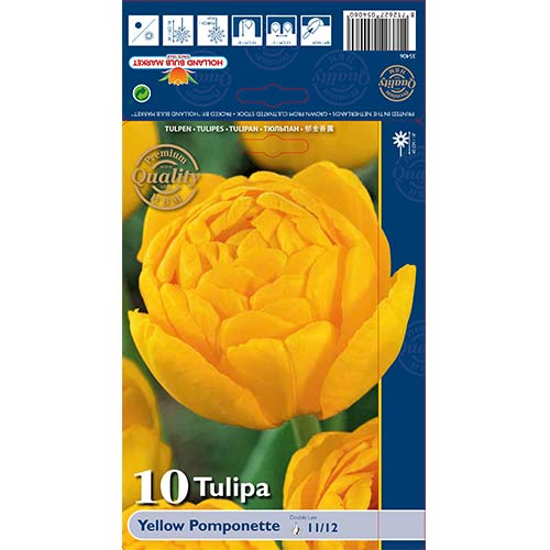 Tulipan pełny Yellow Pomponette interface.image 1 interface.art 67733