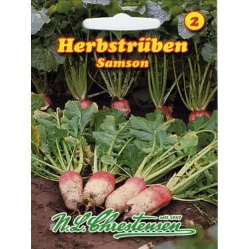 Турнепс Samson изображение 1 артикул 96476