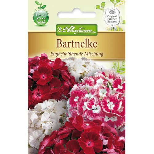 Турски едноцветен карамфил, смес изображение 1 артикул 78955