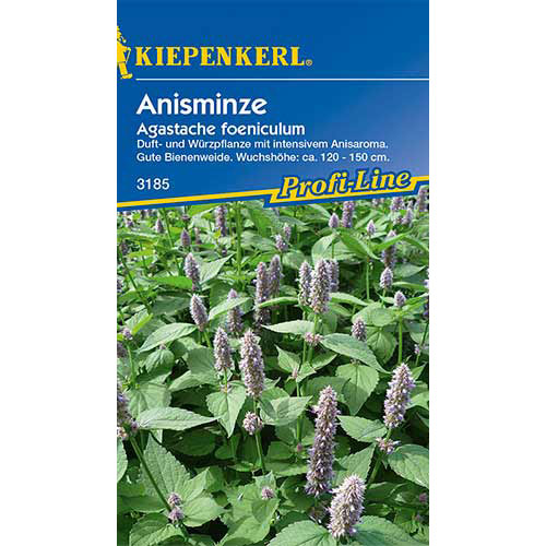 Urzică parfumată Kiepenkerl imagine 1 articol 86371