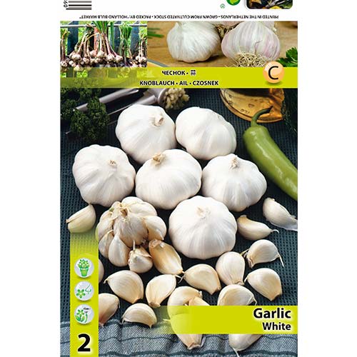 Usturoi alb imagine 1 articol 70500