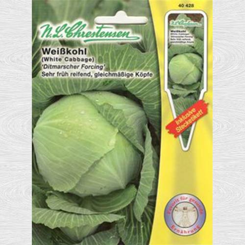 Varză albă Dithmarscher Forcing imagine 1 articol 69212
