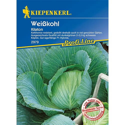 Varză albă Kilaton F1 imagine 1 articol 86555