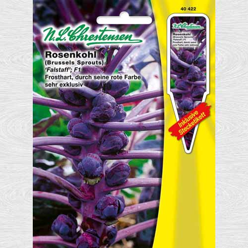 Varză de Bruxelles Falstaff imagine 1 articol 69166