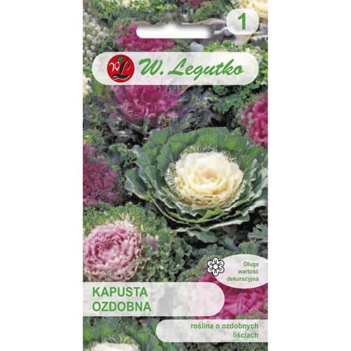 Varză decorativă, mix multicolor imagine 1 articol 69596