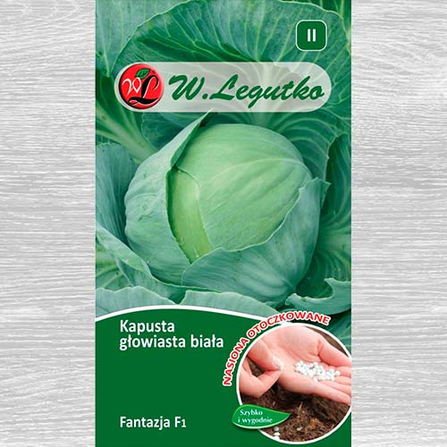 Varză Fantasia F1 imagine 1 articol 69427