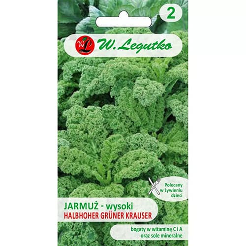 Varză kale Halbhoher Grüner Krauser (Green Curled) imagine 1 articol 86869