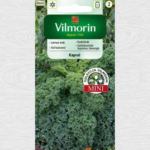 Varza Kale Kapral imagine 1 articol 69726