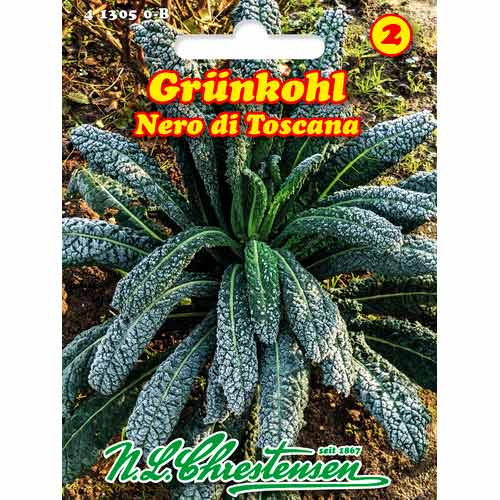 Varză kale Nero di Toscana Chrestensen imagine 1 articol 50050