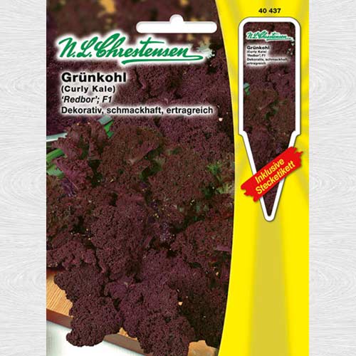 Varză kale Redbor F1 imagine 1 articol 69082