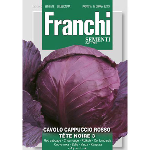 Varză roșie Tete Noire 3 imagine 1 articol 87194