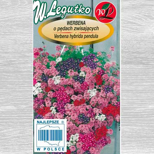 Verbena curgătoare, mix multicolor Legutko imagine 1 articol 69639