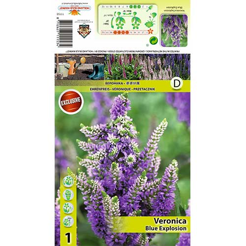 Вероника Blue Explosion изображение 1 артикул 70453