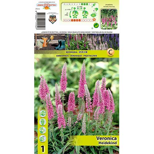 Вероника Heidekind изображение 1 артикул 70454