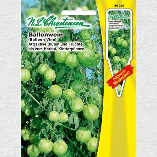 Viță cu baloane imagine 1 articol 69266