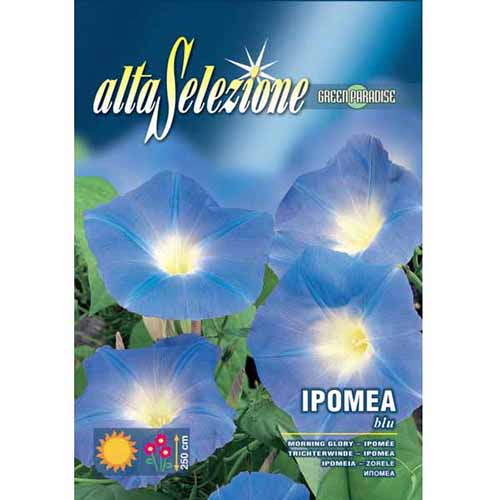 Wilec pnący (Ipomoea) niebieski Morami interface.image 1 interface.art 96344