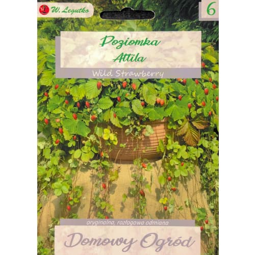 Ягода дребна Attila изображение 1 артикул 69663