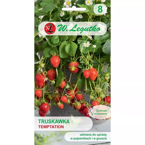 Ягода Temptation изображение 1 артикул 69548