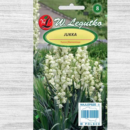 Yucca albă Legutko imagine 1 articol 78605