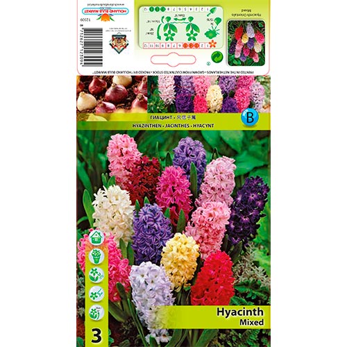 Zambile mix multicolor imagine 1 articol 68057