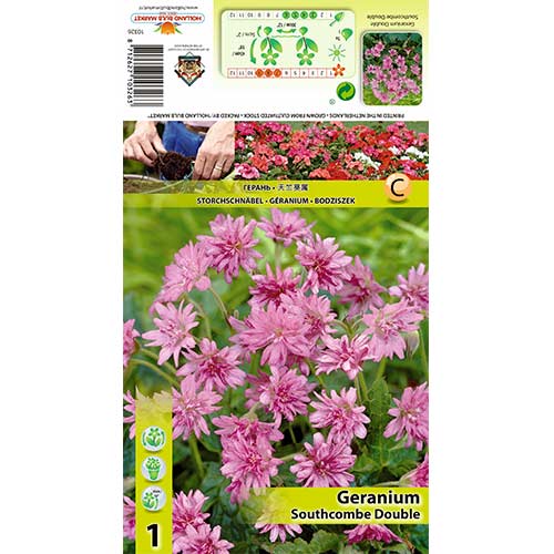 Здравец Southcombe Double изображение 1 артикул 70391