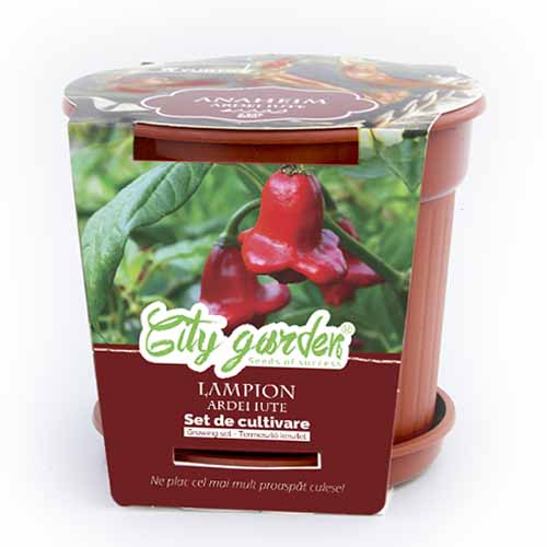 Zestaw do uprawy - Papryka ostra Chilli Lampion interface.image 1 interface.art 96310