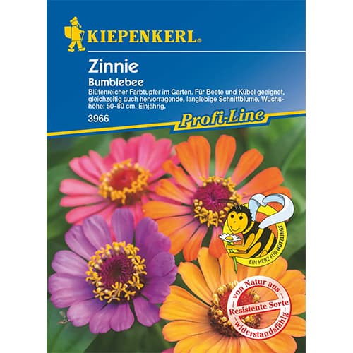 Zinnia (Cârciumăreasă) Bumblebee imagine 1 articol 87268