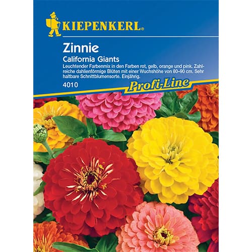 Zinnia (Cârciumăreasă) California Giants imagine 1 articol 87269