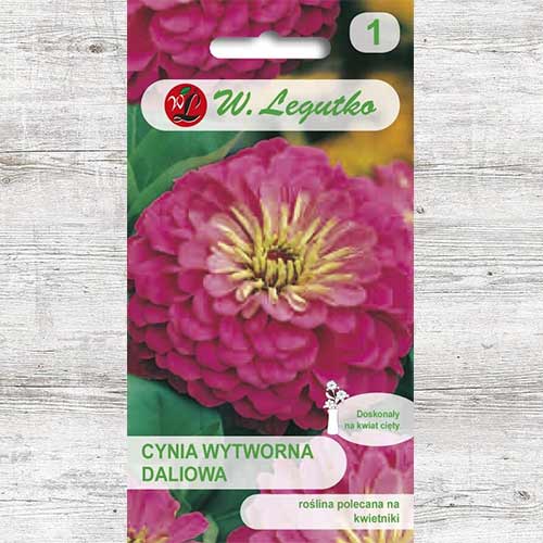 Zinnia (Cârciumăreasă) Illumination Legutko imagine 1 articol 86818