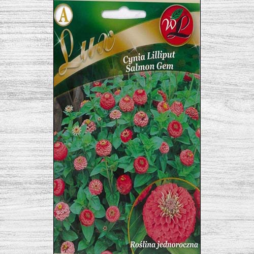 Zinnia (Cârciumăreasă) Liliput Salmon Gem imagine 1 articol 78657