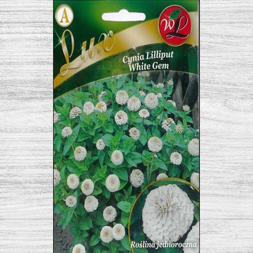 Zinnia (Cârciumăreasă) Liliput White Gem imagine 1 articol 78655