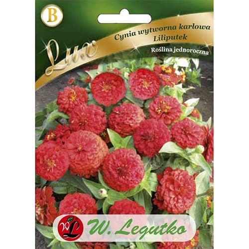 Zinnia (Cârciumăreasă) Liliputek pitică roșie imagine 1 articol 78662