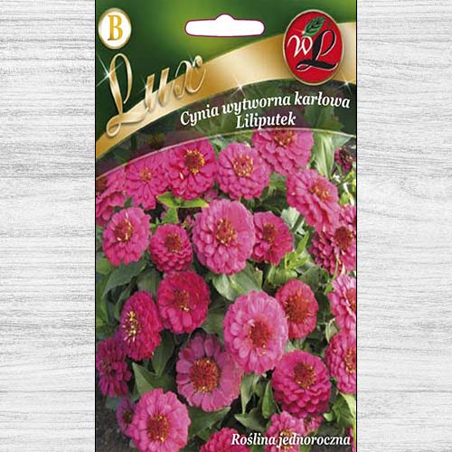 Zinnia (Cârciumăreasă) Liliputek pitică roz imagine 1 articol 78665