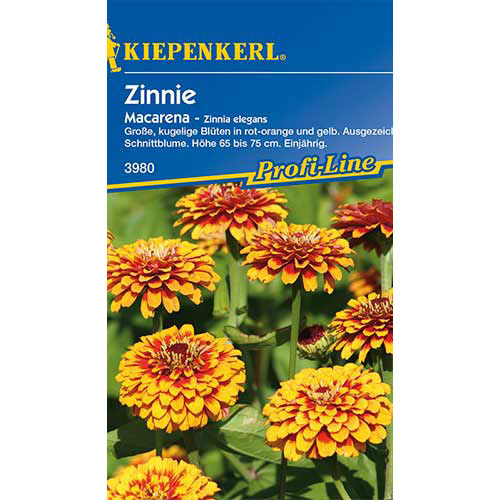 Zinnia (Cârciumăreasă) Macarena Kiepenkerl imagine 1 articol 86360