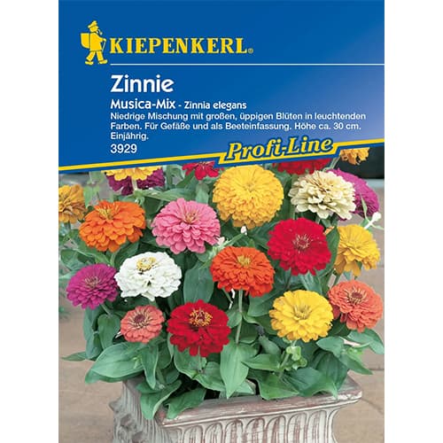 Zinnia (Cârciumăreasă) Musica imagine 1 articol 96591