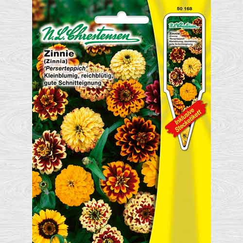 Zinnia (Cârciumăreasă) Persian Carper imagine 1 articol 69416