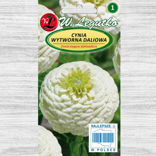 Zinnia (Cârciumăreasă) Polar Bear Legutko imagine 1 articol 78540