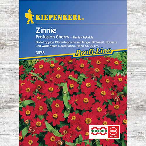 Zinnia (Cârciumăreasă) Profusion Cherry imagine 1 articol 69418
