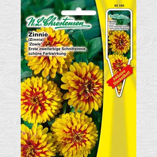 Zinnia (Cârciumăreasă) Zowie imagine 1 articol 69419