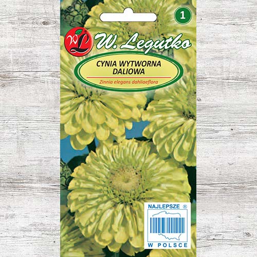 Zinnia (Cârciumăreasă) Envy Legutko imagine 1 articol 78544