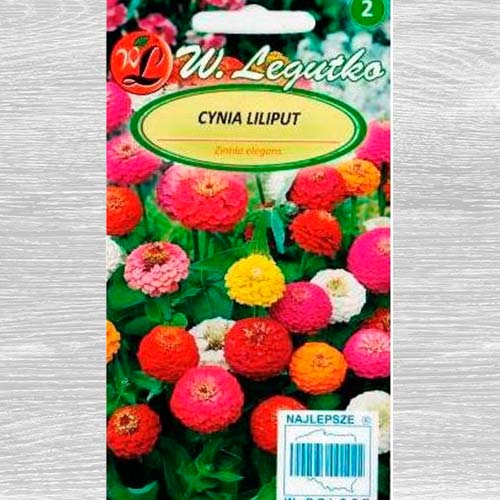 Zinnia Liliput, mix multicolor Legutko imagine 1 articol 69578
