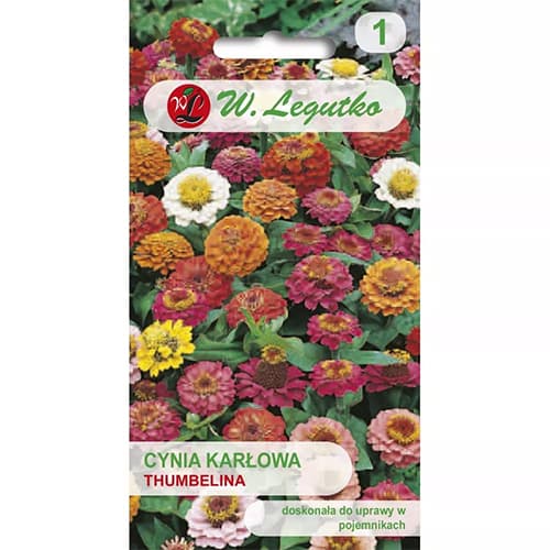 Zinnia Thumbelina, mix multicolor imagine 1 articol 87855