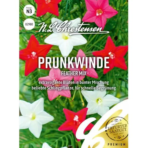 Zorele (Ipomea) Feather, mix multicolor imagine 1 articol 87816