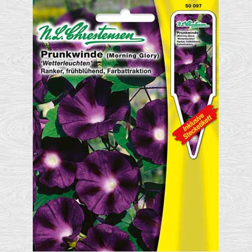 Zorele (Ipomea) Lightning imagine 1 articol 69363