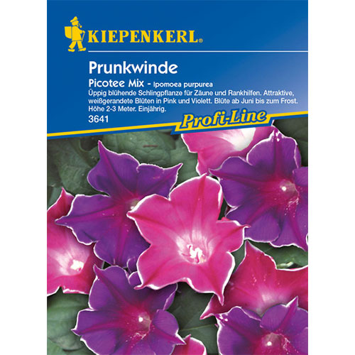 Zorele (Ipomea) Picotee, mix multicolor Kiepenkerl imagine 1 articol 87257